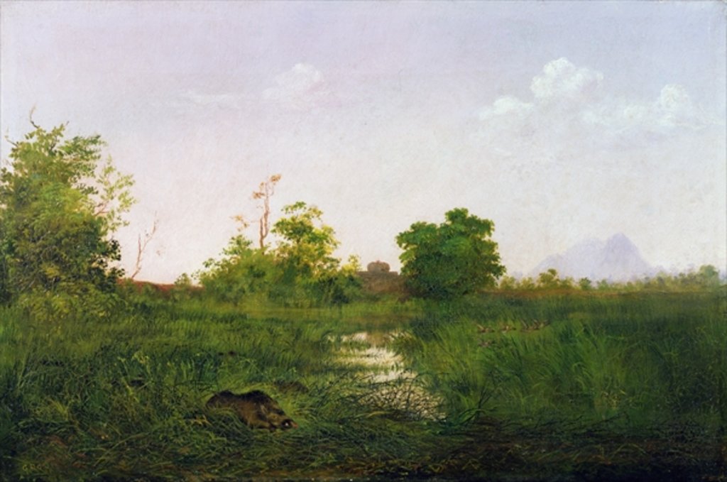 Detail of A sounder of warthogs in Sindolia Tank, Nasirabad Khandesh by Lt.-Colonel George Dudley Carleton