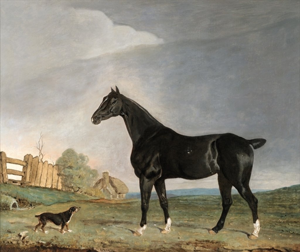 Detail of A dark bay horse and a terrier in a landscape by Edwin Cooper