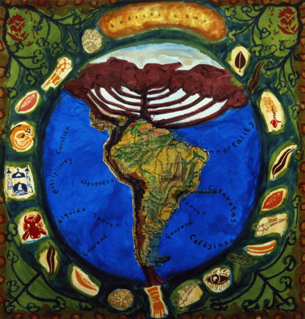 Detail of Parana, Brazil I, 1995 by Deirdre Kelly