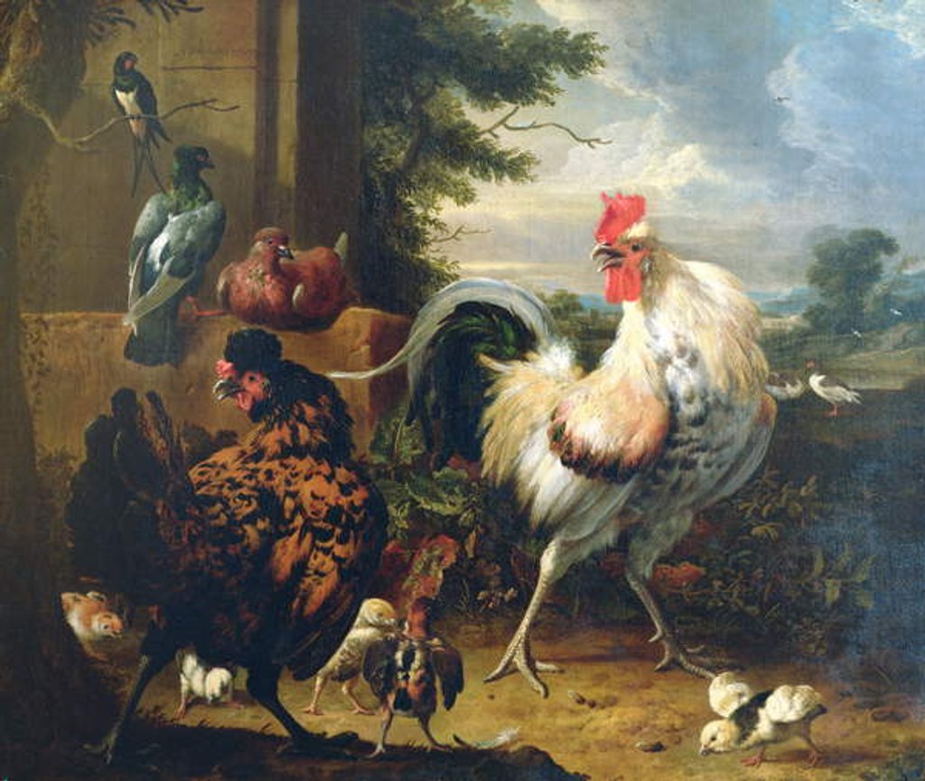 Detail of Farmyard fowl by Melchior de Hondecoeter
