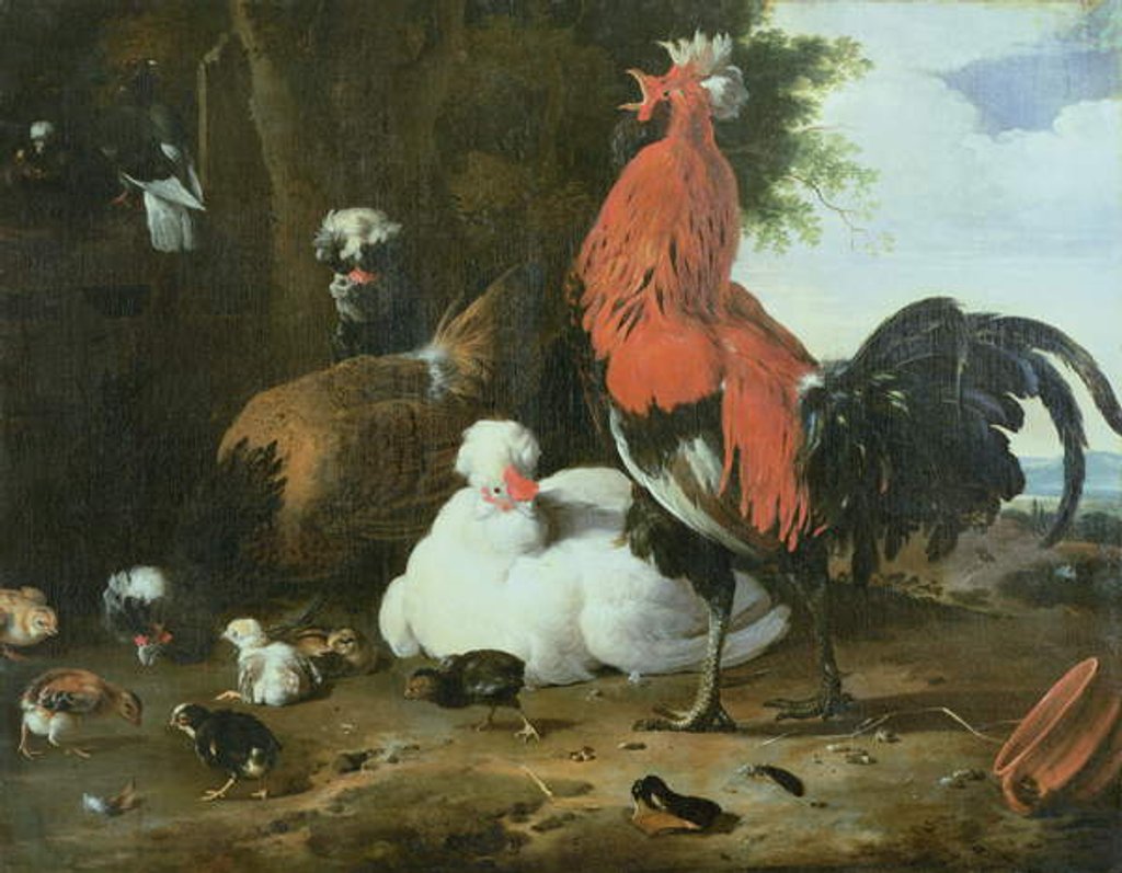 Detail of Farmyard fowls with pigeons by Melchior de Hondecoeter