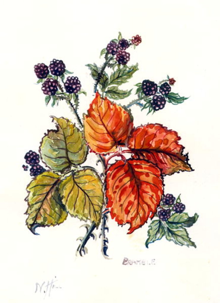 Detail of Bramble by Nell Hill