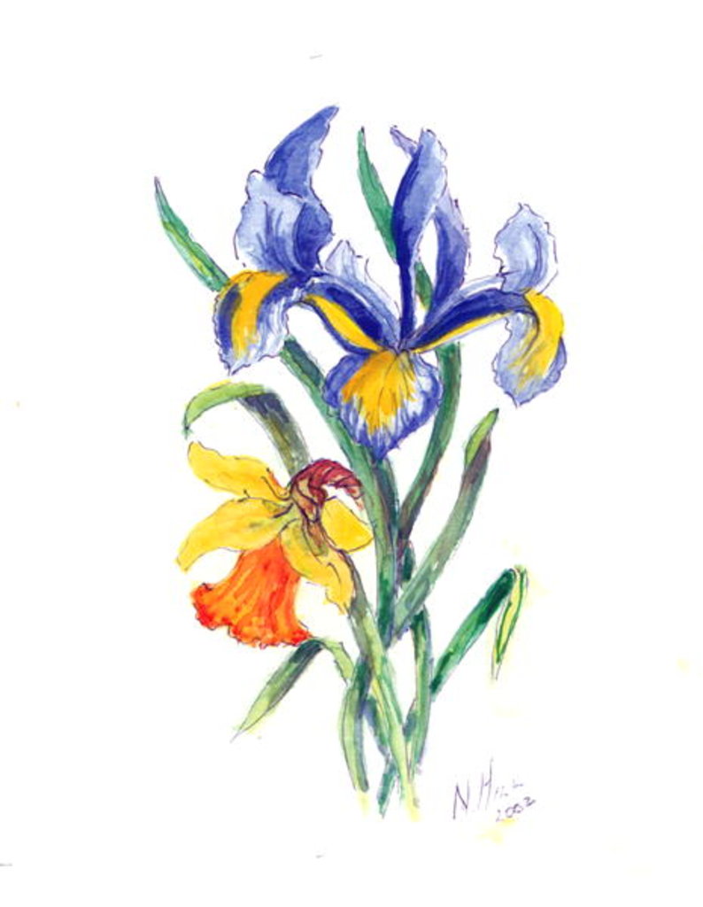 Detail of Blue Iris and Daffodil, 2002 by Nell Hill