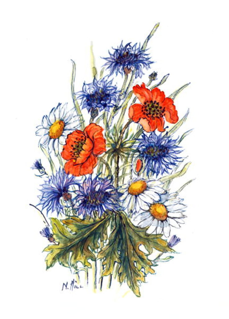 Detail of Cornflower, Poppy and Ox-eye Daisy by Nell Hill