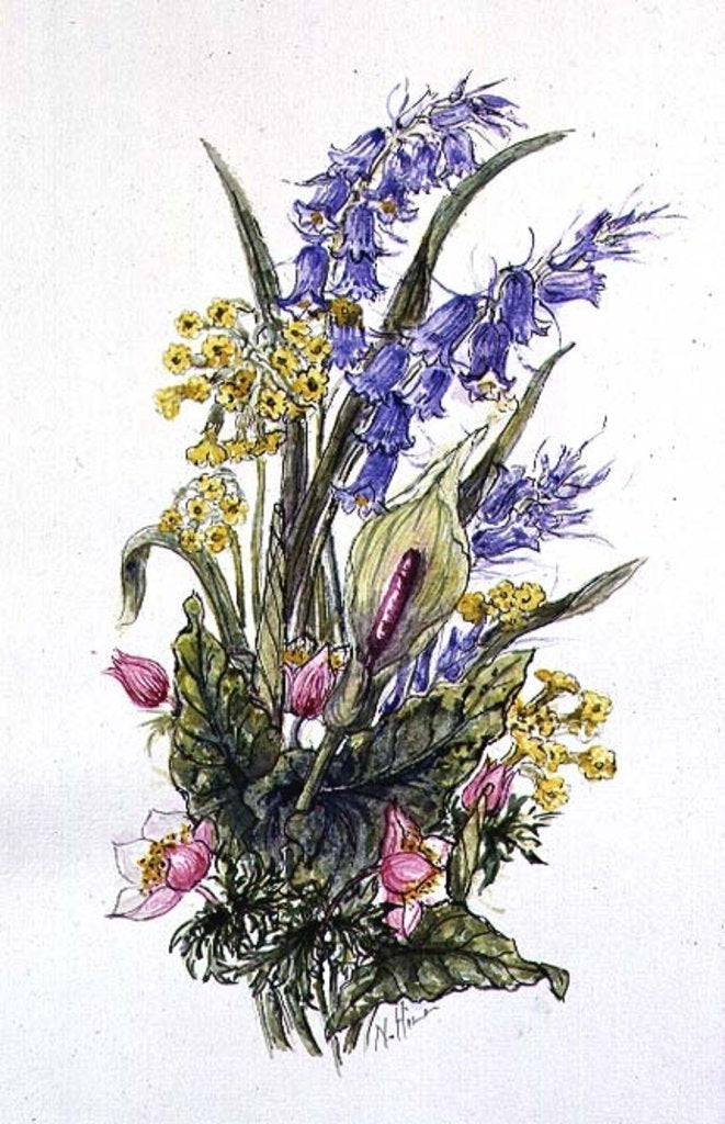 Detail of Bluebell posy with cowslips, dogroses and lily by Nell Hill