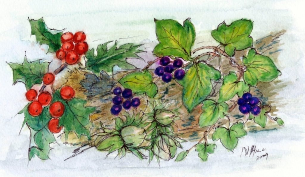 Detail of Log of Ivy, Holly and Hazelnuts by Nell Hill