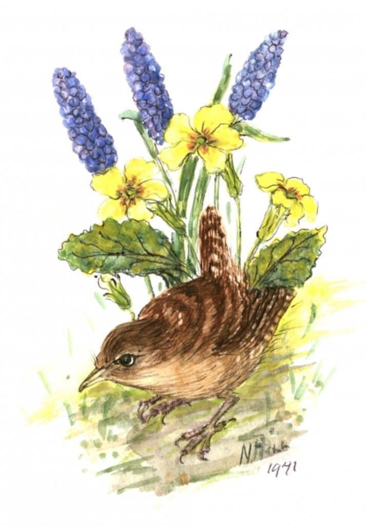 Detail of Wren in Primroses by Nell Hill