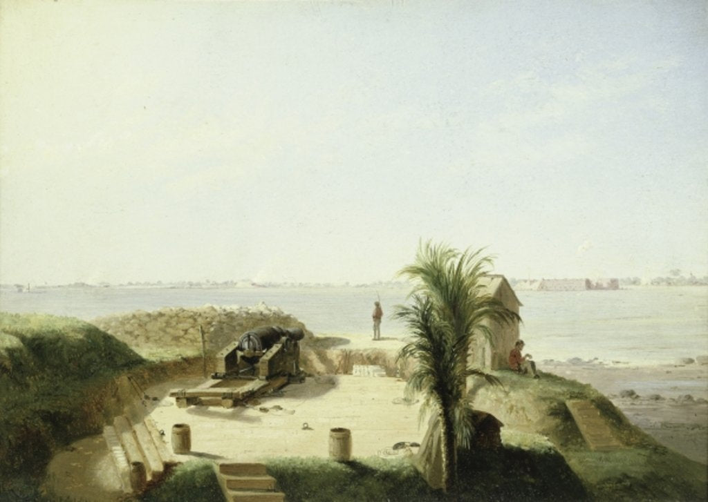 Detail of Battery Marion, November 4, 1863 by Conrad Wise Chapman