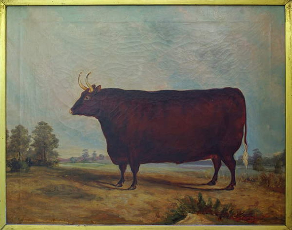 Detail of A North Devon Ox in a Landscape, 1837 by William Carmichael Baker