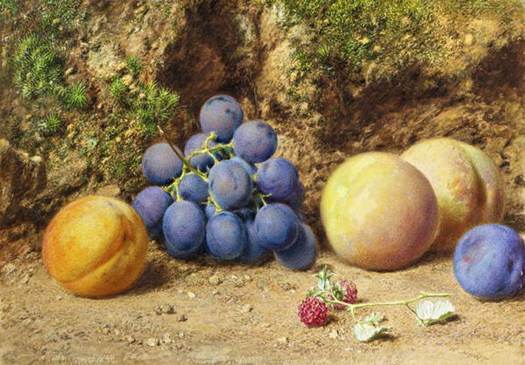Detail of Black Grapes, Peaches, Apricots and Raspberries, c.1860 by William Henry Hunt