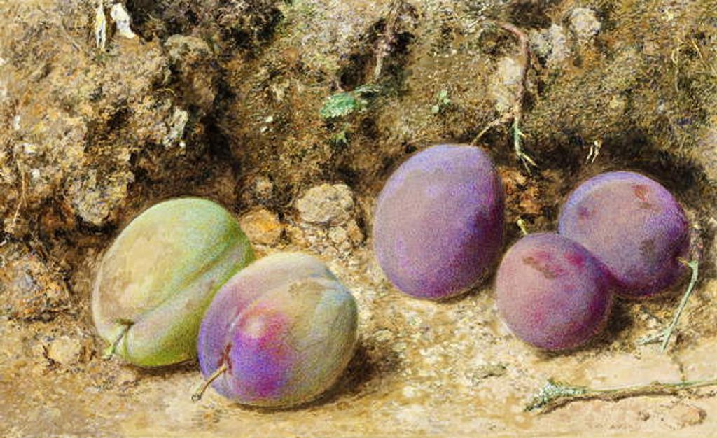 Detail of Ripe and Unripe Plums, c.1860 by William Henry Hunt