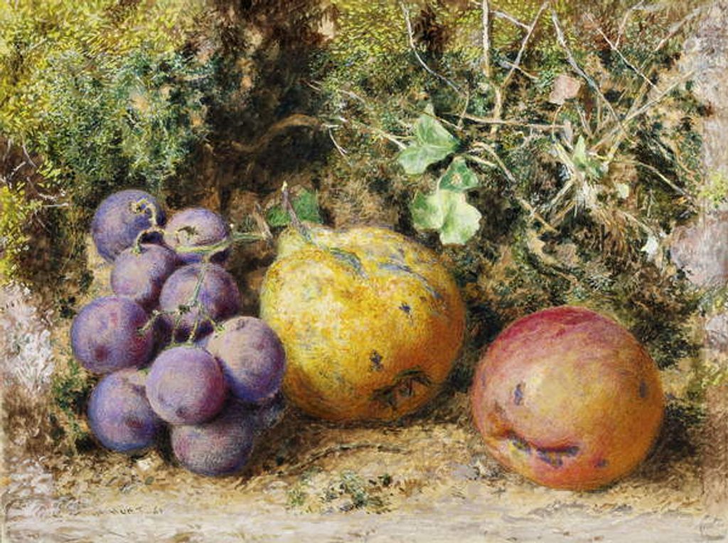 Detail of Black Grapes, Quince, and Newtown Pippin, 1861 by William Henry Hunt