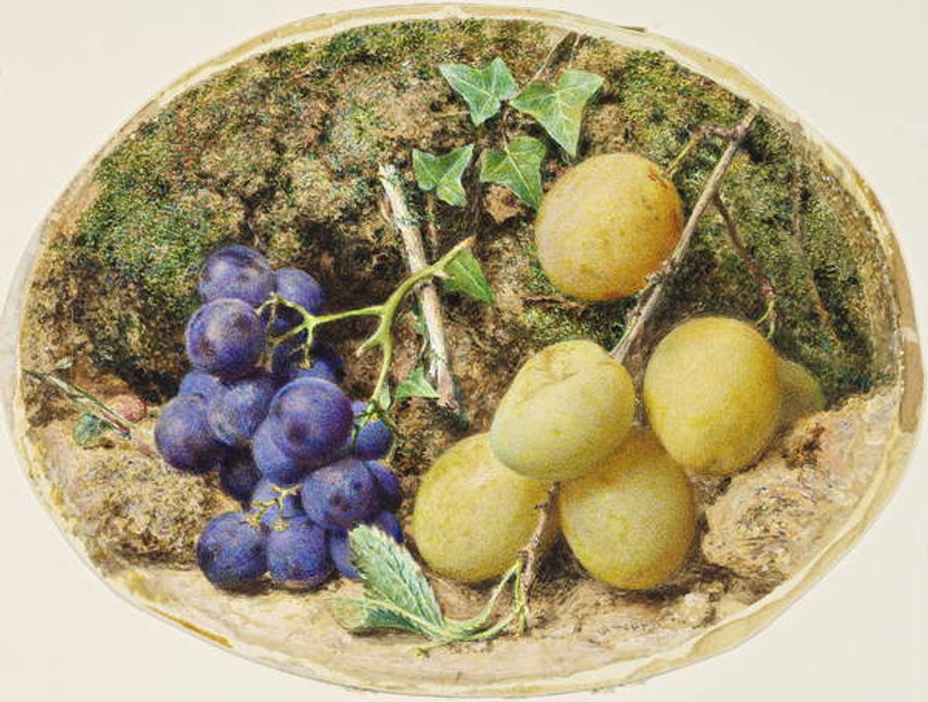 Detail of Golden Drop Plums and Black Grapes, c.1860 by William Henry Hunt