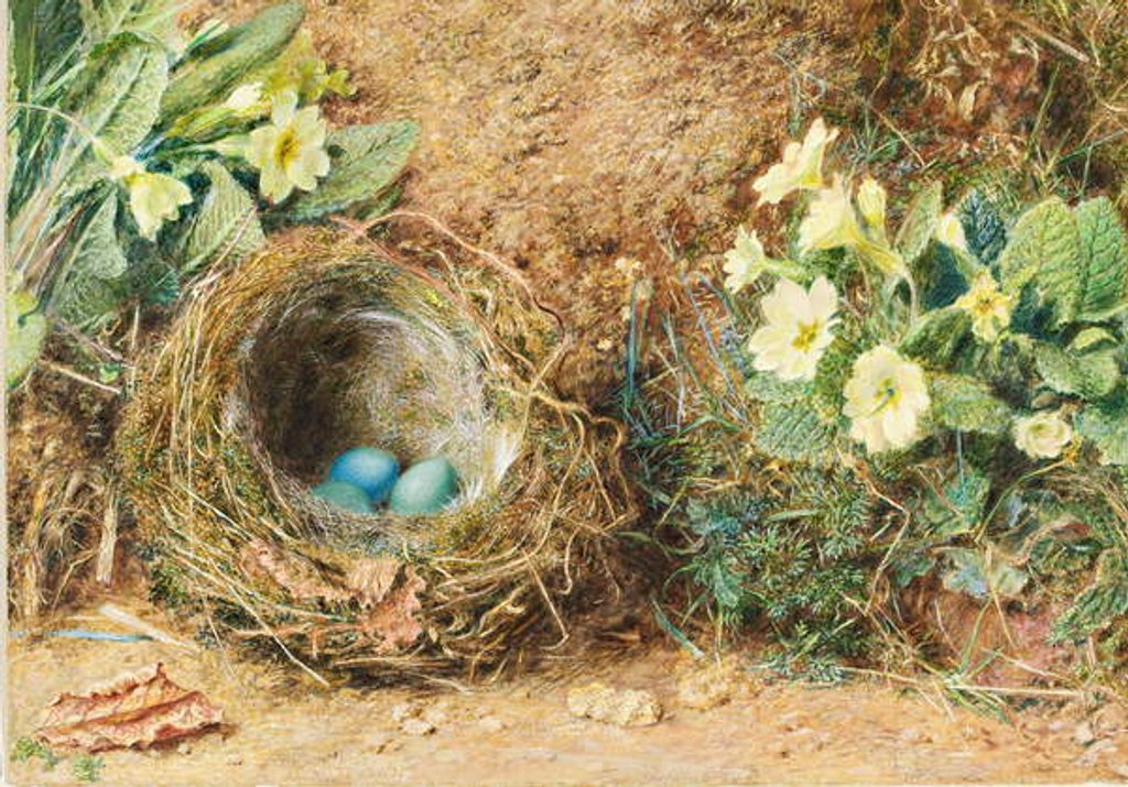 Detail of Bird's nest with three blue eggs and primroses by William Henry Hunt