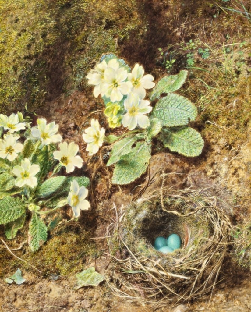 Detail of Primroses and Bird's Nest with Three Blue Eggs by William Henry Hunt