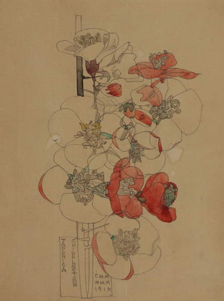 Detail of Japonica, 1910 by Charles Rennie Mackintosh