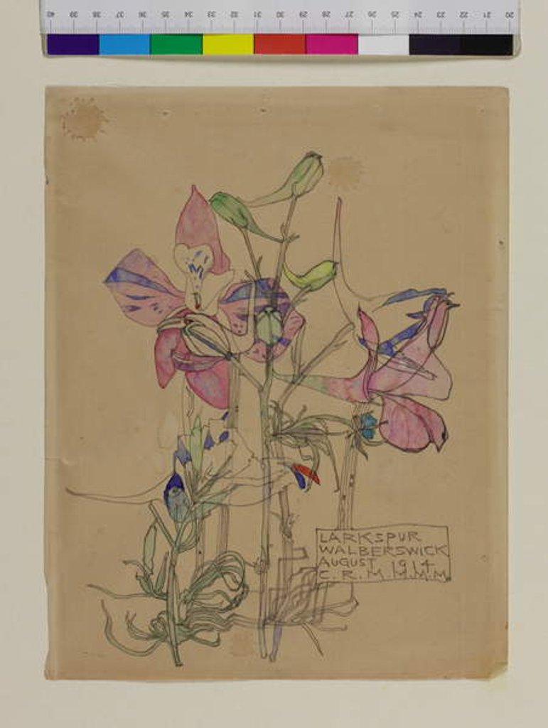 Detail of Larkspur, 1914 by Charles Rennie Mackintosh