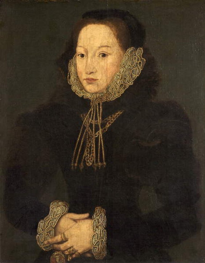 Detail of Portrait of an Unknown Lady, c.1550 by English School