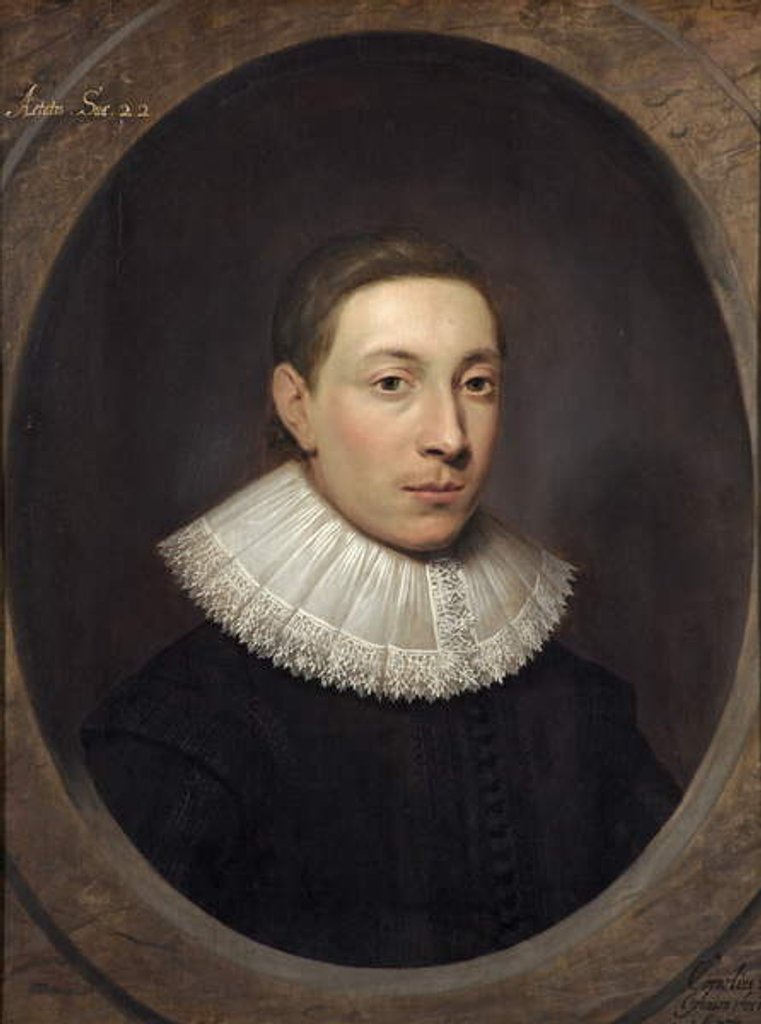 Detail of Portrait of a Young Man, 1620 by Cornelius Janssen van Ceulen