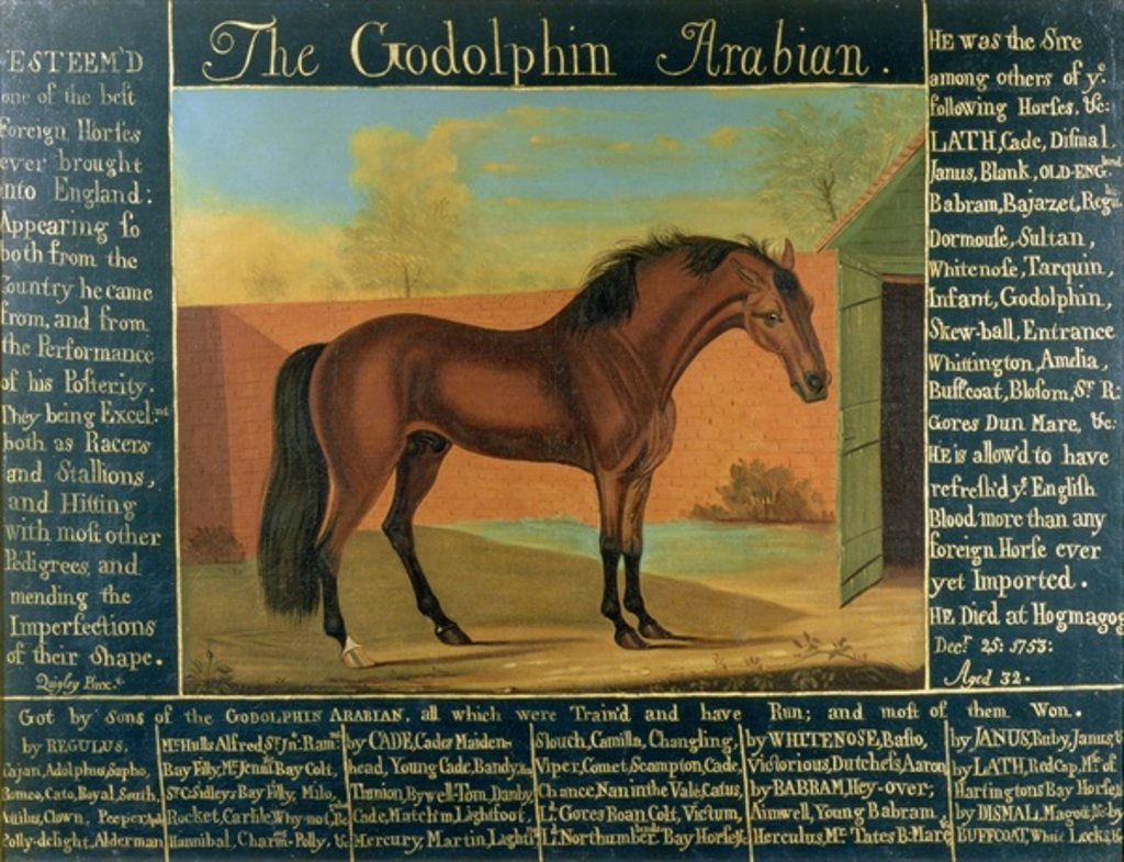Detail of The Godolphin Arabian by Daniel Quigley