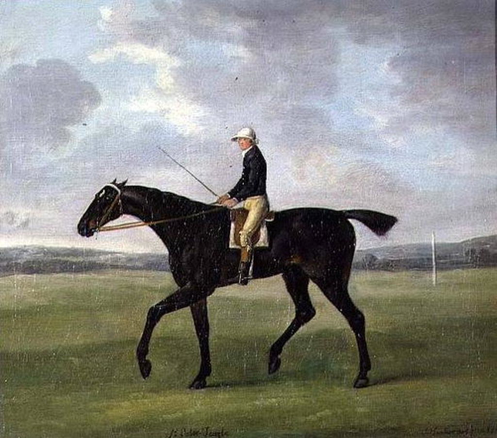 Detail of Sir Peter Teazle, 1788 by John Nost Sartorius