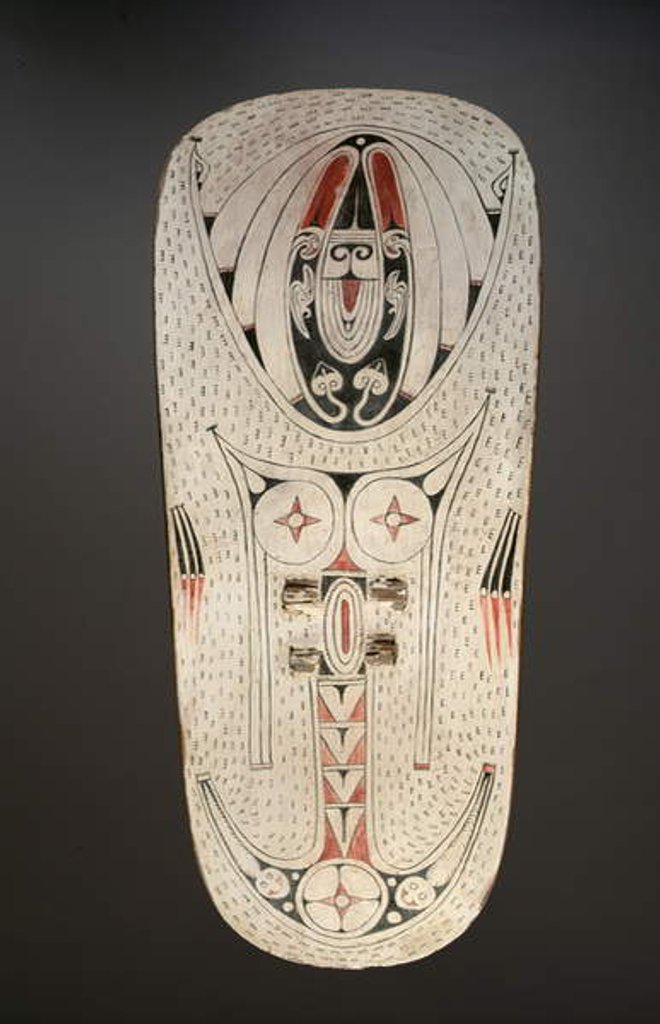 Detail of Shield by Melanesian Melanesian