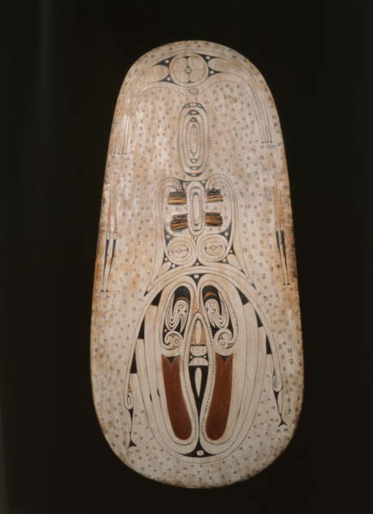Detail of Shield, Trobriand Islands by Oceanic Oceanic