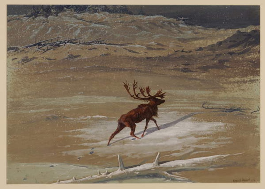 Detail of Stag, 1871 by Ernest Henry Griset