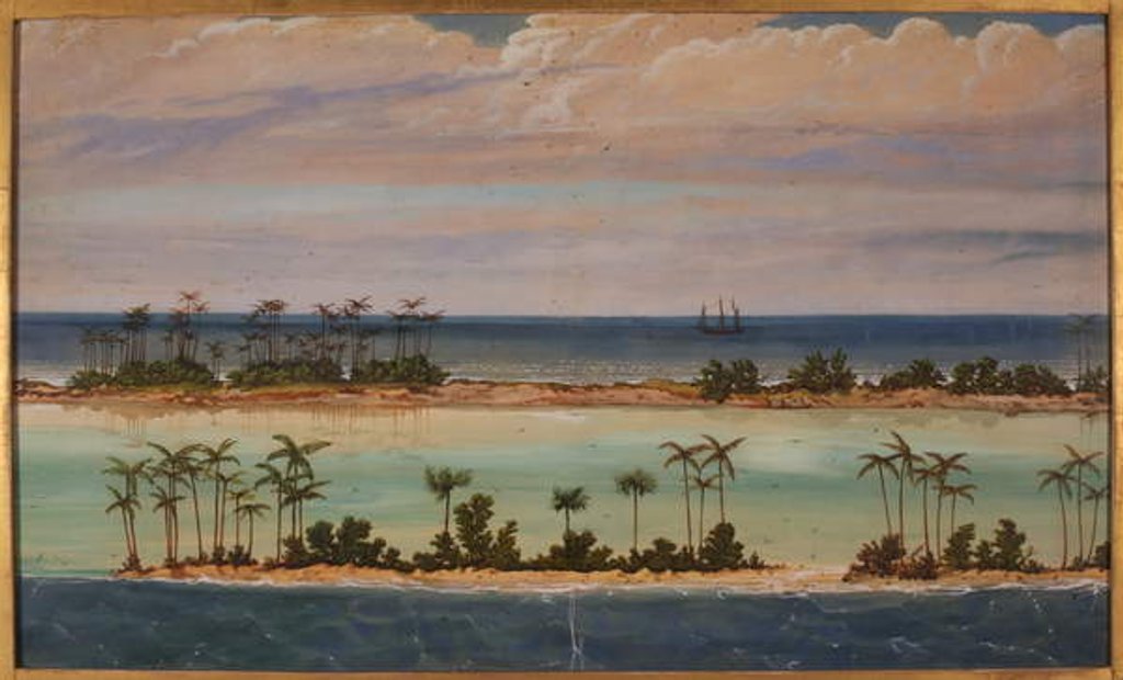 Detail of Triptych of an Atoll, 1871 by Ernest Henry Griset