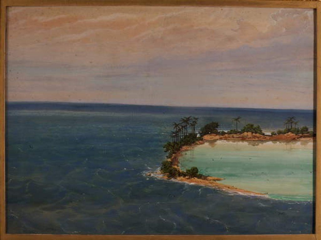 Detail of Triptych of an Atoll, 1871 by Ernest Henry Griset