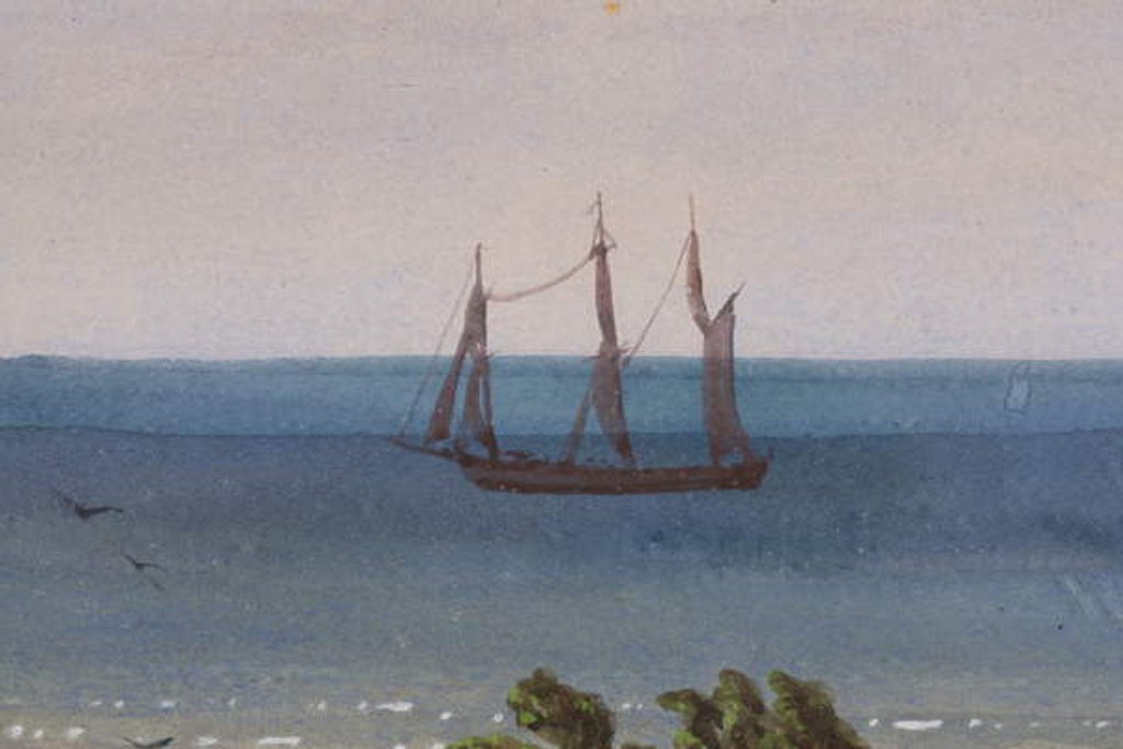Detail of Detail of Triptych of an Atoll, 1871 by Ernest Henry Griset