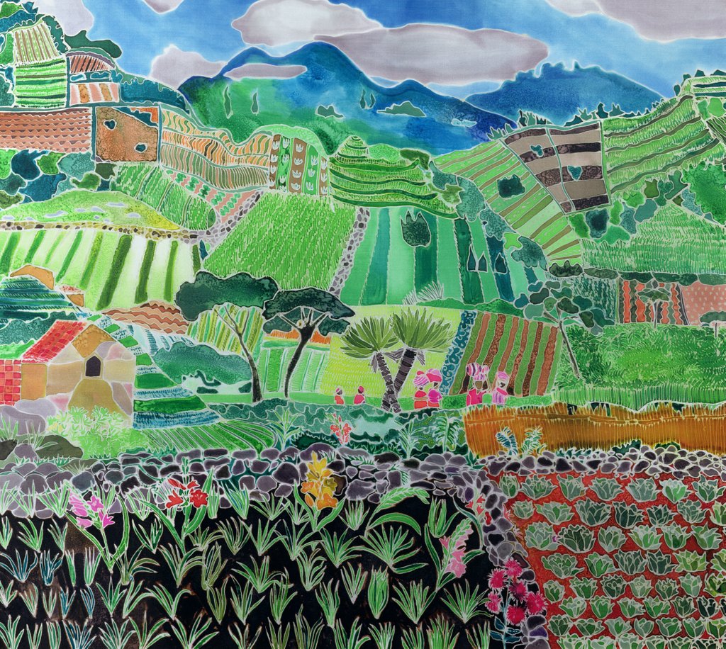 Detail of Cabbages and Lilies, Solola Region, Guatemala, 1993 by Hilary Simon