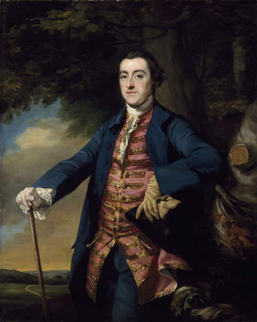 Detail of Dr. Connell, c.1765 by Francis Cotes