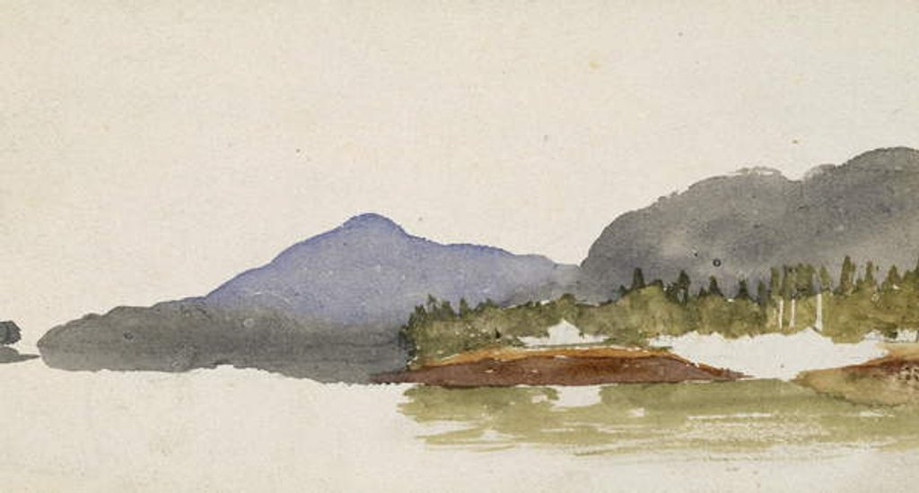 Detail of Western Lake View, 1869-71 by Vincent Colyer