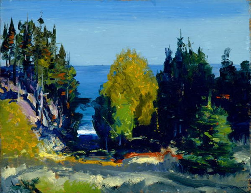 Detail of The Grove - Monhegan, 1911 by George Wesley Bellows