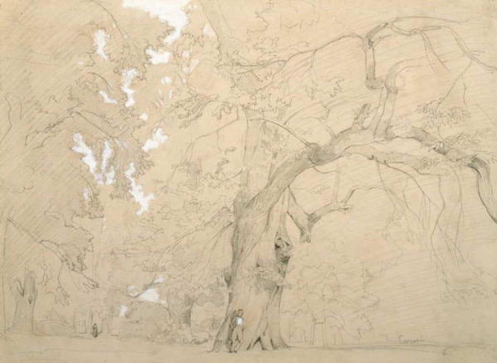Detail of Young Man in Front of a Great Oak, c.1840 by Jean Baptiste Camille Corot