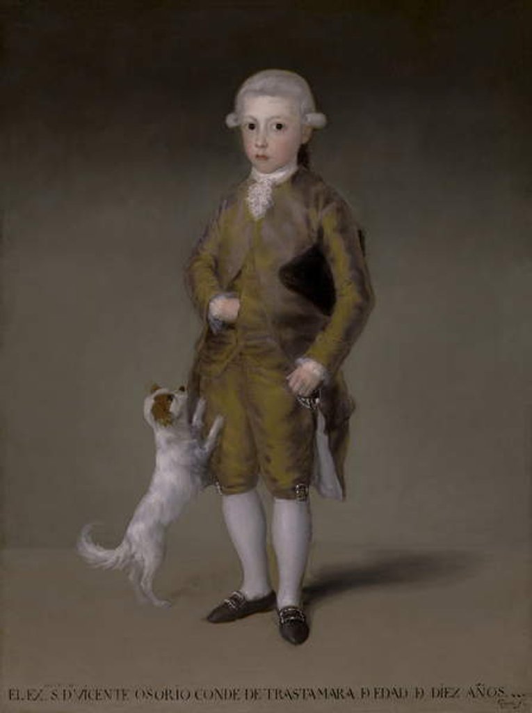 Detail of Don Vicente Isabel Osorio de Moscoso y Álvarez de Toledo, Conde de Trastámara, c.1787-88 by Francisco Jose de Goya y Lucientes