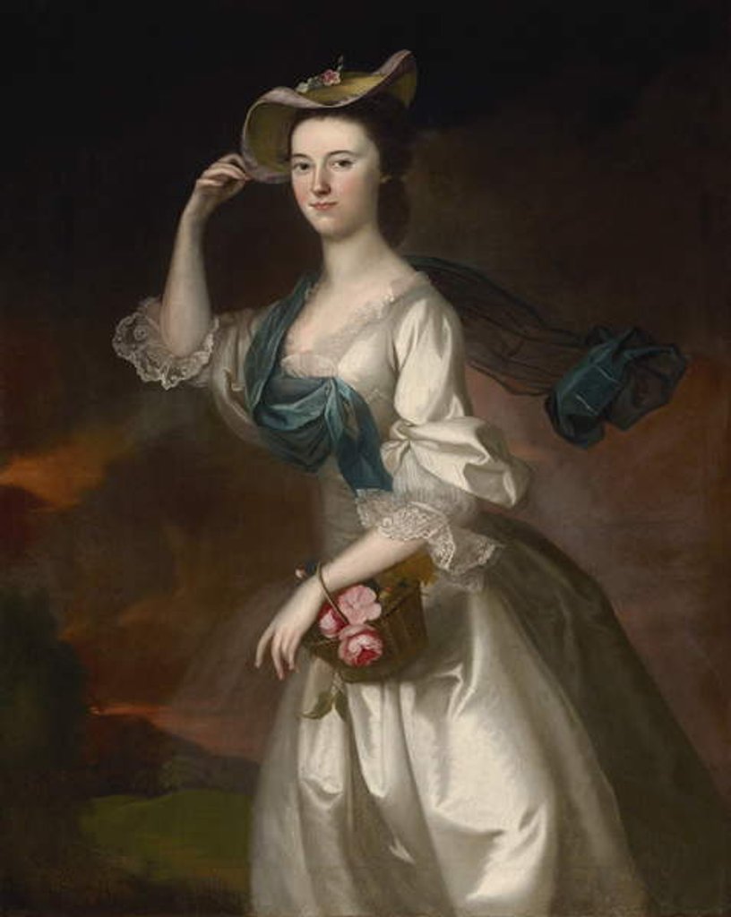 Detail of Portrait of Abigail Erving Scott, 1760 by Joseph Jonathan Blackburn