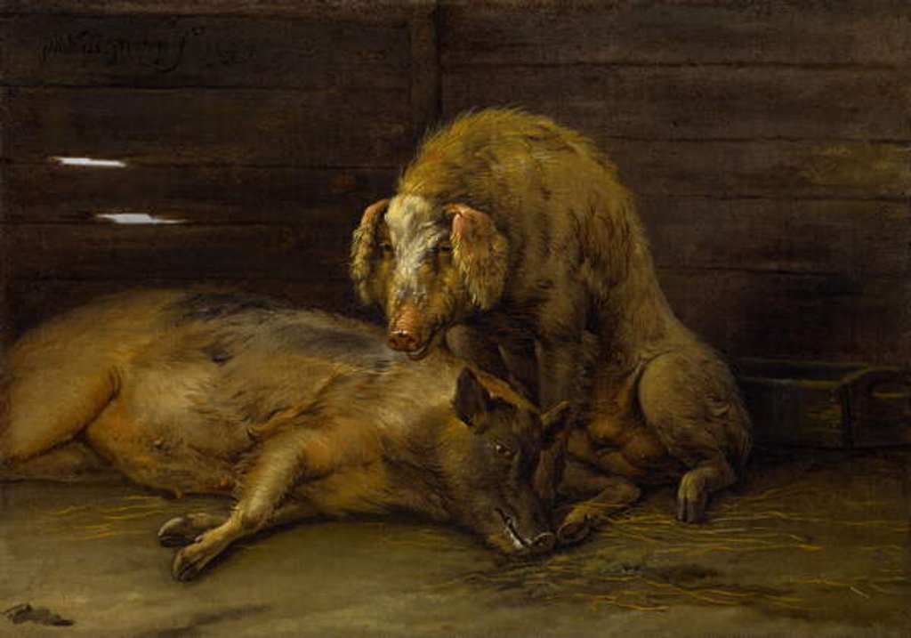 Detail of Two Pigs in a Sty, 1649 by Paulus Potter