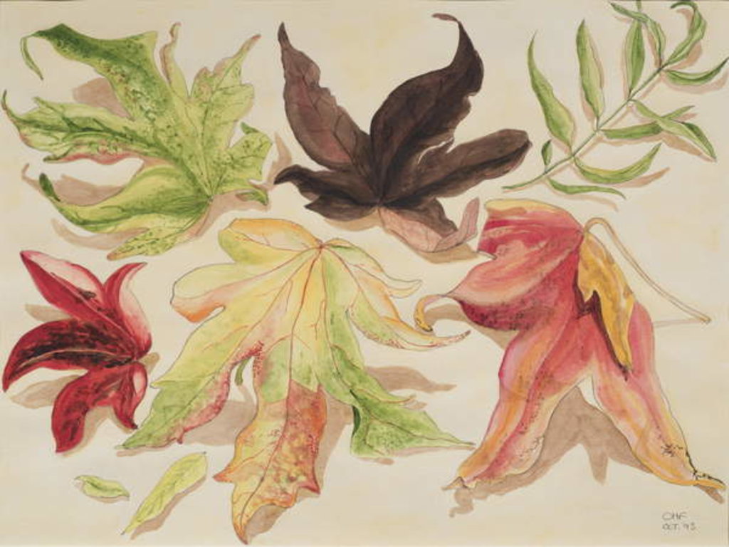 Detail of Autumn Leaves, 1993 by Carolyn Hubbard-Ford