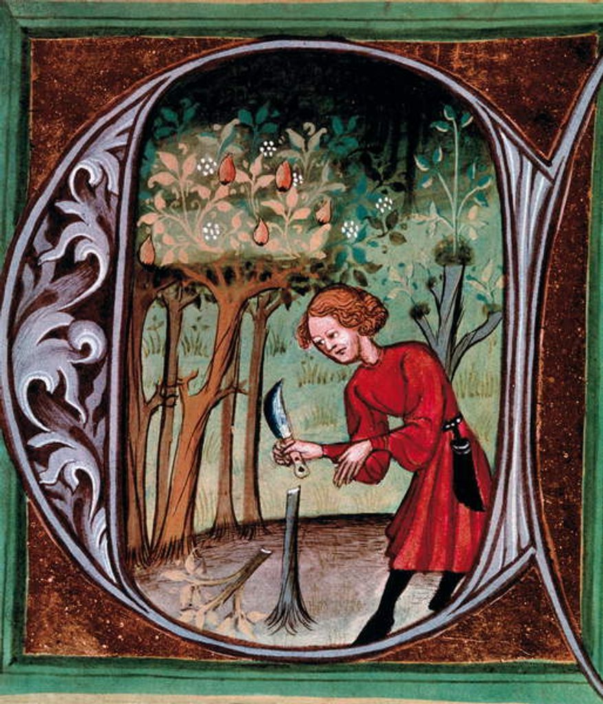 Detail of Letter A illustration of a peasant extracting a graft by Pietro de' Crescenzi