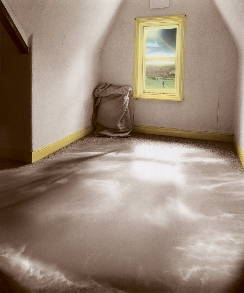 Detail of Through the Light, 1980 by Hag Hag