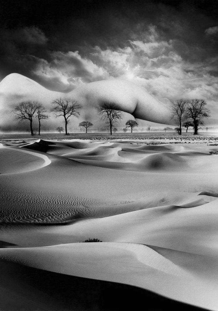 Detail of Mother, 1988 by Hag Hag