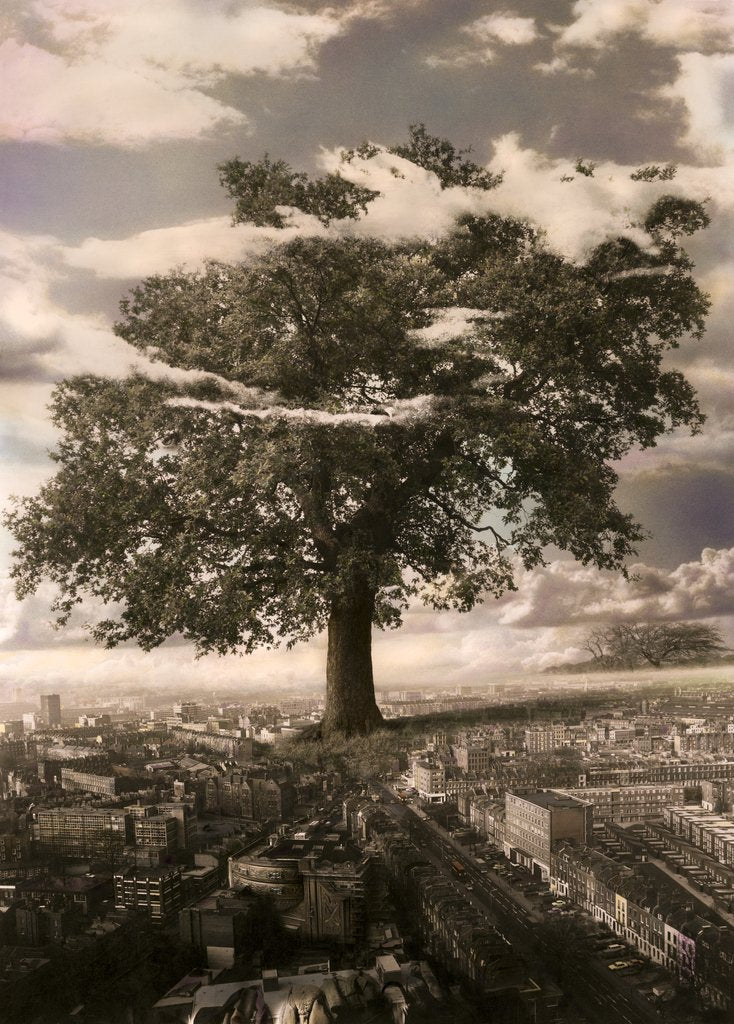 Detail of The Tree in Islington, 1978 by Hag Hag