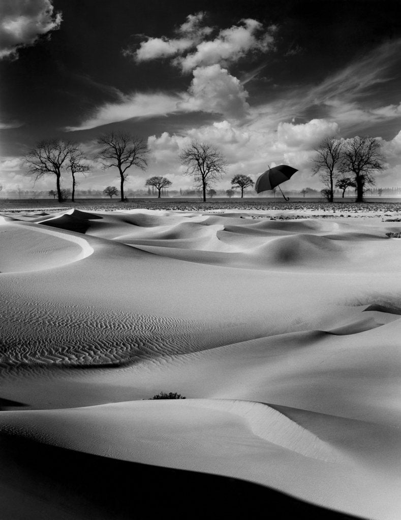 Detail of Acid Rain, 1988 by Hag Hag