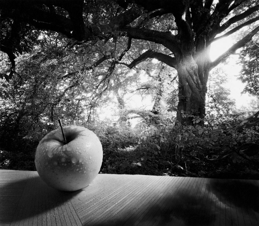 Detail of Let's Hear it for Knowledge, 1987 by Hag Hag