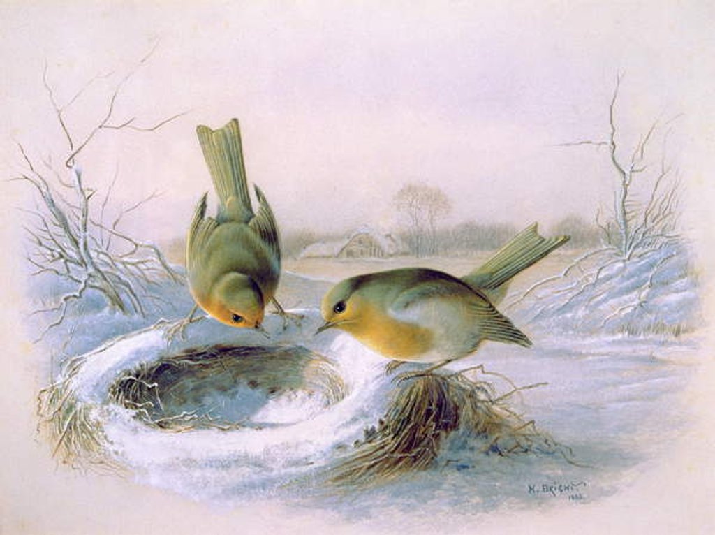 Detail of Last Year's Nest, 1886 by Harry Bright