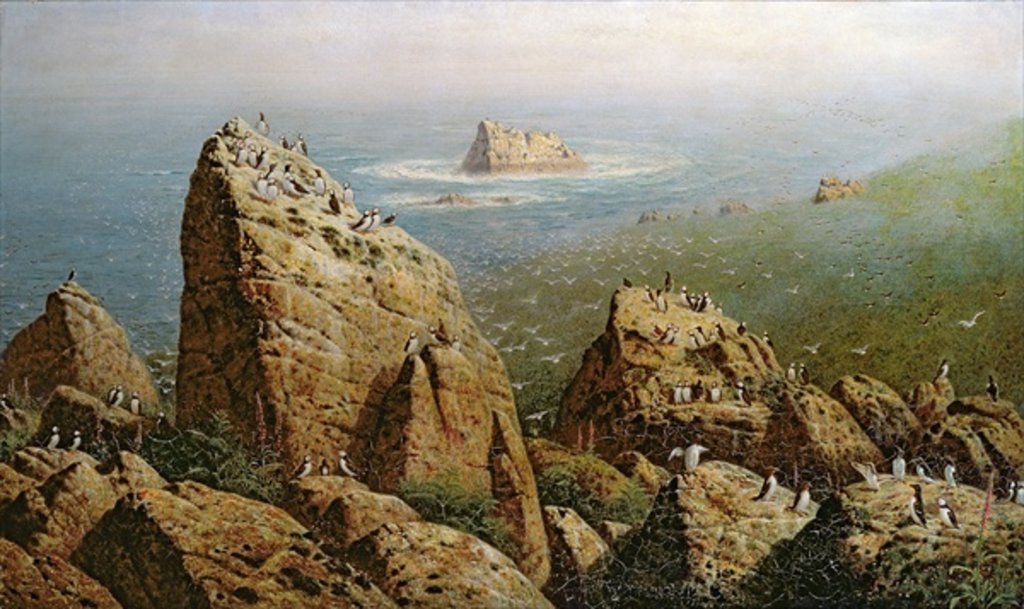 Detail of Puffins on Lundy Island by John George Naish