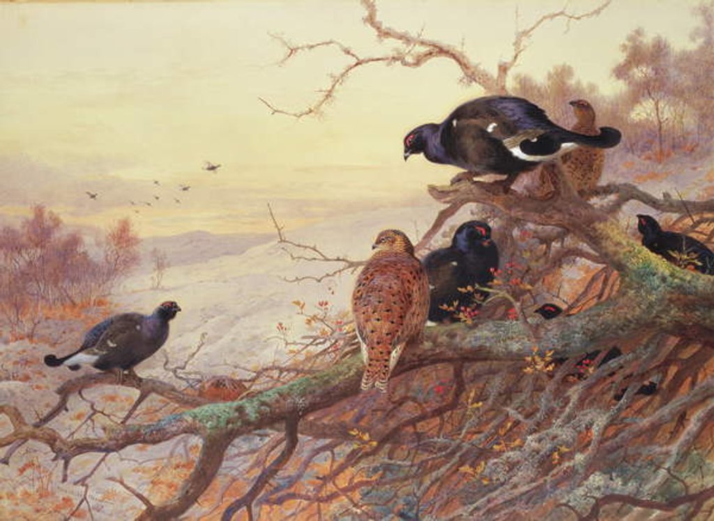 Detail of Blackgame in Winter by Archibald Thorburn