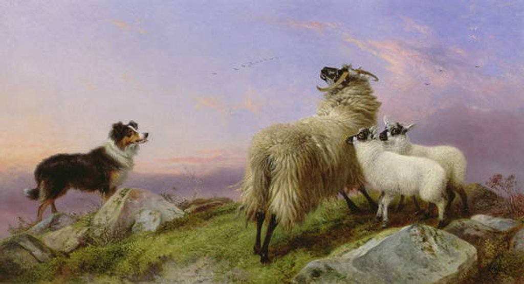 Detail of Collie, Ewe and Lambs by Richard Ansdell